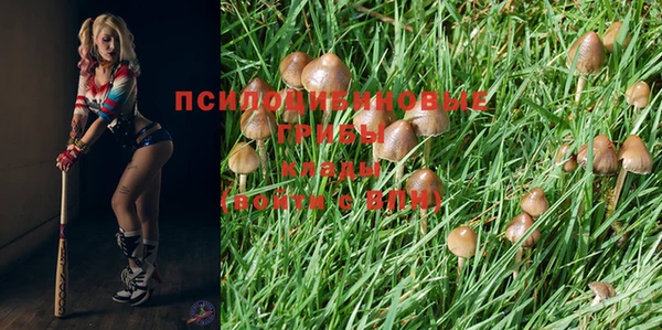 MESCALINE Баксан