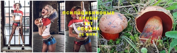 дмт Балахна